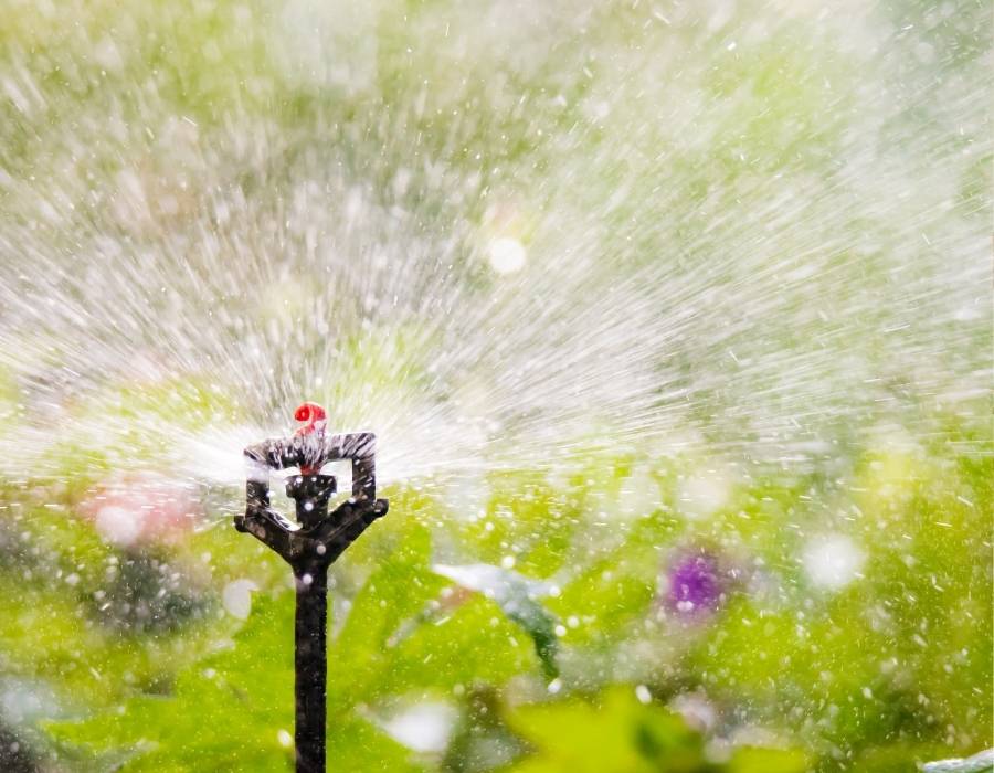 Understanding Garden Water Features