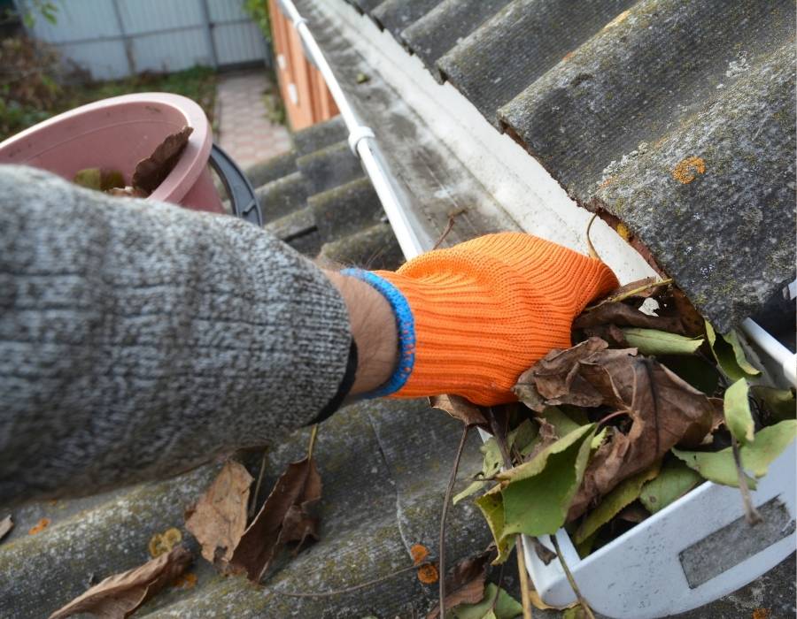 Best Times for Gutter Cleaning