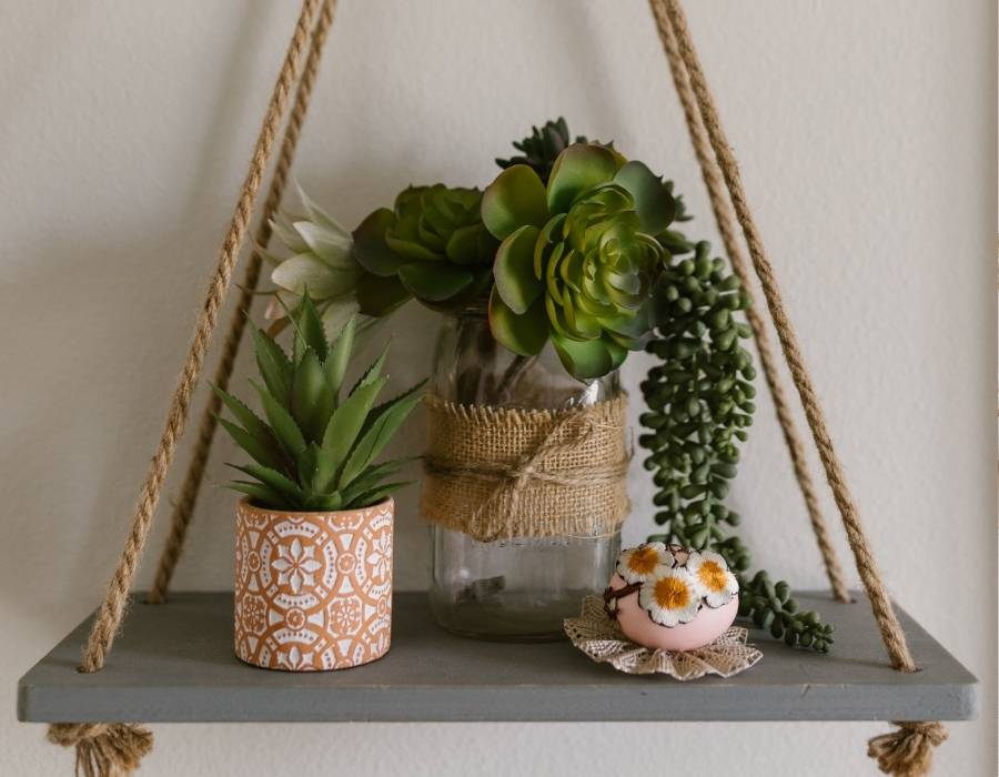 Choosing Your Plants