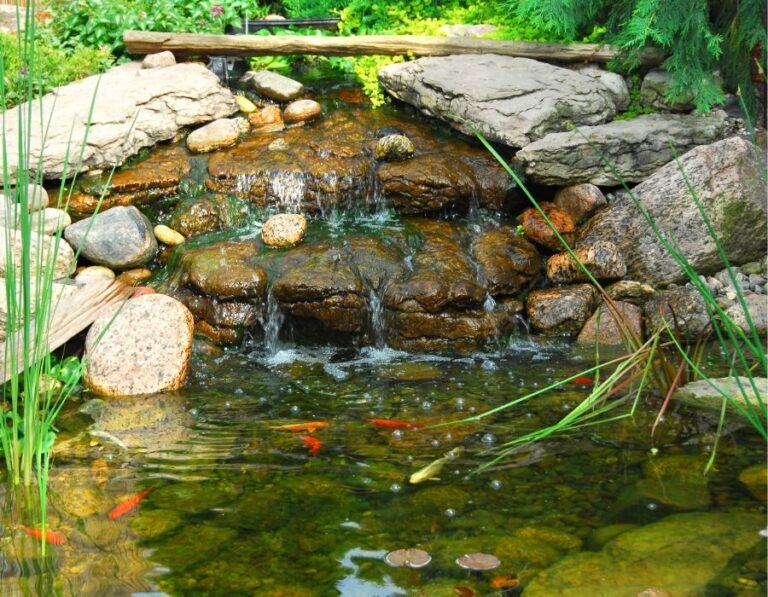 Water Features That Transform Your Garden: From Fountains to Ponds